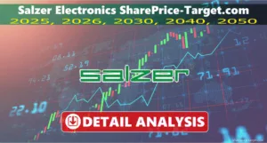 Salzer Electronics share price target