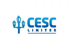 CESC Share Price Target 2025, 2026, 2030, 2040, 2050 2 CESC