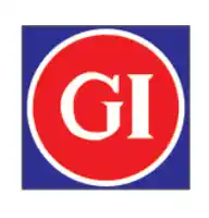 Graphite India Share Price Target 2026, 2027, 2030, 2040, 2050 2 Graphite India